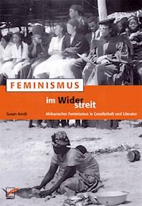Feminismus im Widerstreit - Susan Arndt - E-Book