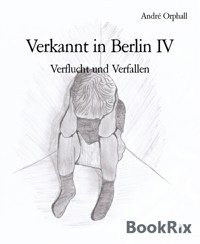 Verkannt in Berlin IV - André Orphall - E-Book