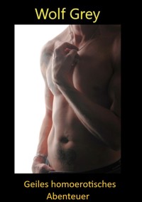 Geiles homoerotisches Abenteuer - Wolf Grey - E-Book