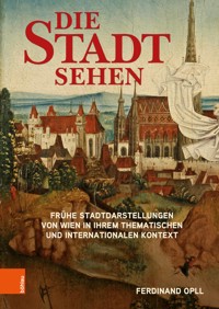 Die Stadt sehen - Ferdinand Opll - E-Book
