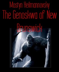 The Genoskwa of New Brunswick - Mostyn Heilmannovsky - E-Book