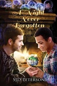 A Night Never Forgotten - SJD Peterson - E-Book