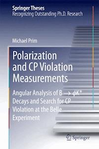 Polarization and CP Violation Measurements - Michael Prim - E-Book