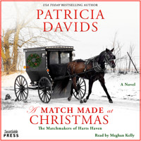 A Match Made at Christmas - Matchmakers of Harts Haven, Book 2 (Unabridged) - Patricia Davids - Hörbuch