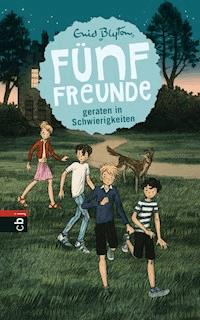 Fünf Freunde geraten in Schwierigkeiten - Enid Blyton - E-Book