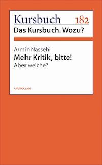 Mehr Kritik, bitte! - Armin Nassehi - E-Book