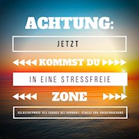 Achtung: Jetzt kommst Du in eine stressfreie Zone - Patrick Lynen - Hörbuch