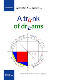 A trunk of dreams - Gaetano Callocchia - E-Book