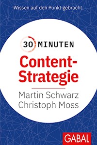 30 Minuten Content-Strategie - Martin Schwarz - E-Book