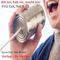 Bin nix, hab nix, macht nix! - Pat Brave - Hörbuch