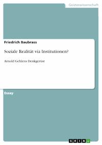 Soziale Realität via Institutionen? - Friedrich Baubrass - E-Book