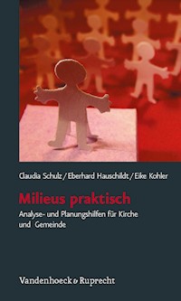 Milieus praktisch - Claudia Schulz - E-Book