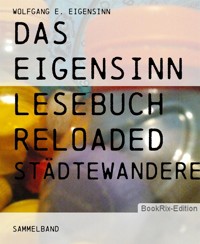 das eigensinn lesebuch reloaded - wolfgang e. eigensinn - E-Book