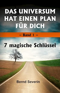 DAS UNIVERSUM HAT EINEN PLAN FÜR DICH - Bernd Severin - E-Book