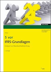 5 vor IFRS-Grundlagen - Martin Weber - E-Book