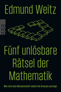 Fünf unlösbare Rätsel der Mathematik - Edmund Weitz - E-Book