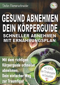 GESUND ABNEHMEN DEIN KÖRPERGUIDE SCHNELLER ABNEHMEN MIT ERNÄHRUNGSPLAN - Stefan Riemenschneider - E-Book