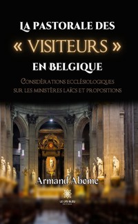 La pastorale des « visiteurs » en Belgique - Armand Abeme - E-Book