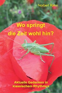 Wo springt die Zeit wohl hin? - Norbert Rahn - E-Book