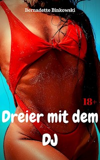 Dreier mit dem DJ - Bernadette Binkowski - E-Book