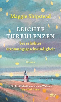 Leichte Turbulenzen bei erhöhter Strömungsgeschwindigkeit - Maggie Shipstead - E-Book
