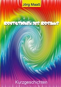 Irritationen des Irrsinns - Jörg Maaß - E-Book