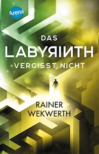 Das Labyrinth (4). Das Labyrinth vergisst nicht - Rainer Wekwerth - E-Book