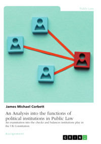 An Analysis into the functions of political institutions in Public Law - James Michael Corbett - E-Book
