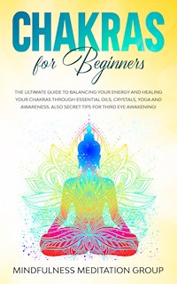 Chakras for Beginners - Mindfulness Meditation Group - E-Book