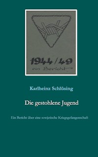 Die gestohlene Jugend - Karlheinz Schlüsing - E-Book