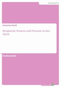 Periglaziale Formen und Prozesse in den Alpen - Antonia Koch - E-Book