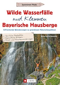 Wilde Wasserfälle und Klammen in den Bayerischen Hausbergen - Wilfried Bahnmüller - E-Book