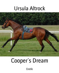 Cooper´s Dream - Ursula Altrock - E-Book