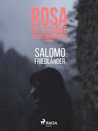 Rosa, die schöne Schutzmannsfrau - Salomo Friedländer - E-Book