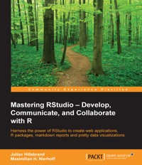 Mastering RStudio - Julian Hillebrand - E-Book