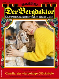 Der Bergdoktor 2237 - Andreas Kufsteiner - E-Book