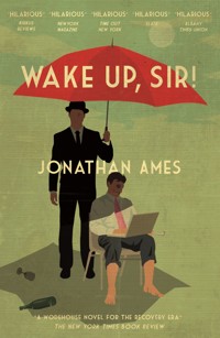 Wake Up, Sir! - Jonathan Ames - E-Book