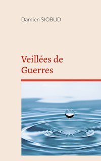 Veillées de Guerres - Damien Siobud - E-Book