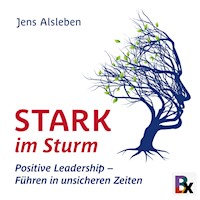 Stark im Sturm - Jens Alsleben - Hörbuch