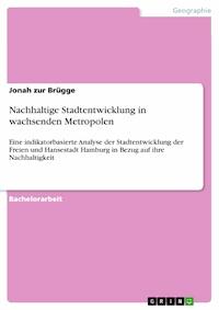 Nachhaltige Stadtentwicklung in wachsenden Metropolen - Jonah zur Brügge - E-Book