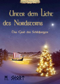 Unter dem Licht des Nordsterns - Marc Short - E-Book