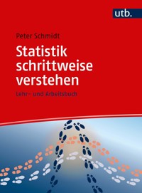 Statistik schrittweise verstehen - Peter Schmidt - E-Book