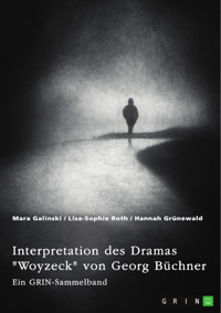 Interpretation des Dramas "Woyzeck" von Georg Büchner. Verschiedene Ansätze - Mara Galinski - E-Book