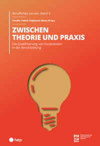 Zwischen Theorie und Praxis (E-Book) - Claudio Caduff - E-Book