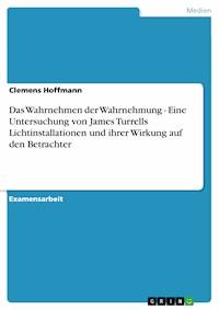 Das Wahrnehmen der Wahrnehmung - Eine Untersuchung von James Turrells Lichtinstallationen und ihrer Wirkung auf den Betrachter - Clemens Hoffmann - E-Book