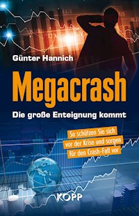 Megacrash – Die große Enteignung kommt - Hannich Günter - E-Book