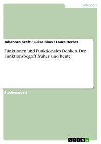 Funktionen und  Funktionales Denken. Der Funktionsbegriff früher und heute - Johannes Kraft - E-Book