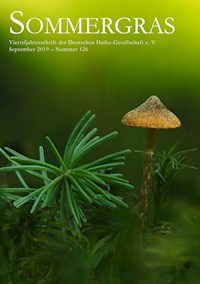 Sommergras 126 -  - E-Book