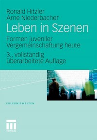 Leben in Szenen - Ronald Hitzler - E-Book