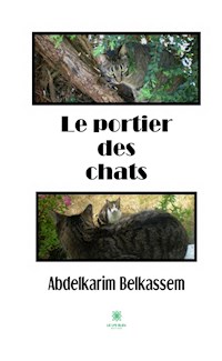 Le portier des chats - Abdelkarim Belkassem - E-Book